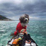 Im-kayaking-along-the-Mediterranean-Sea-since-three-years-and-Im-taking-my-found-dog-with-me-5742ce17519f5__700