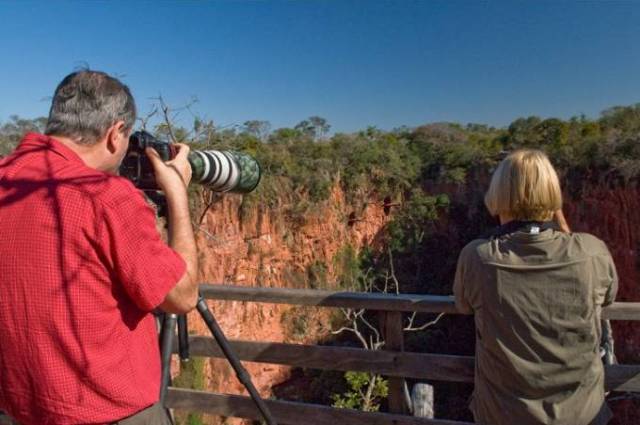 Turismo de observao de aves ganha adeptos no Brasil