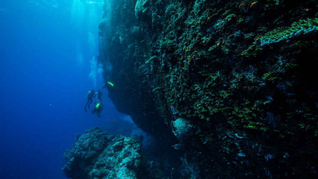 Papua Nova Guin  um dos destinos de mergulho com vida marinha mais rica do mundo