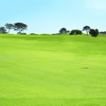 Campo de golfe    Foto: divulgao