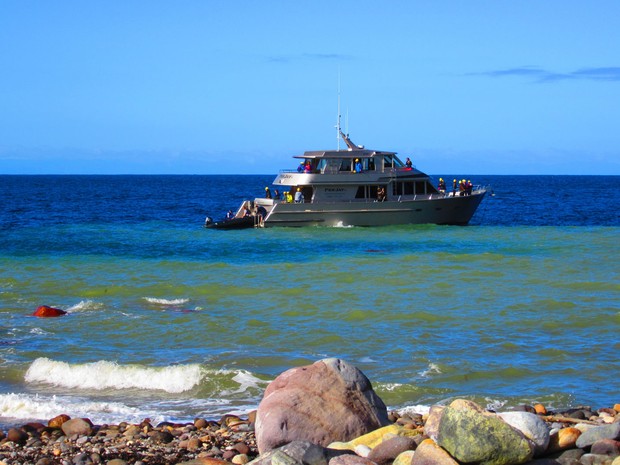 Barco com turistas chega à White Island (Foto: Juliana Cardilli/G1)