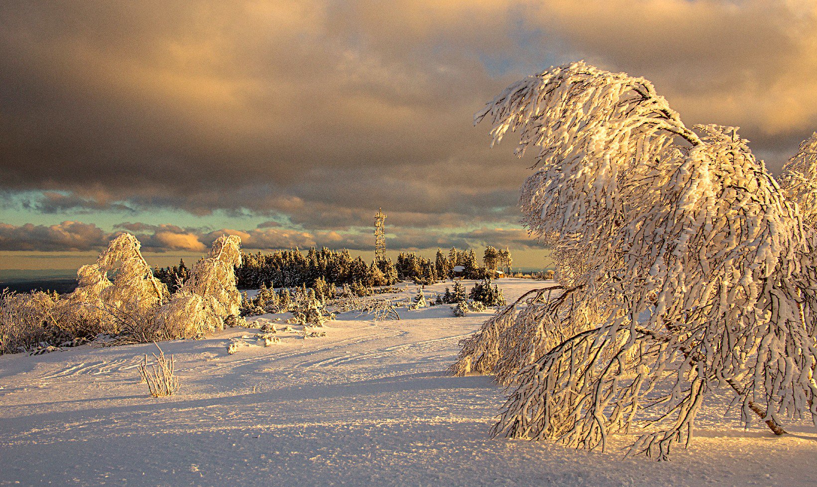 Floresta Negra, durante temporada de neve, na Alemanha