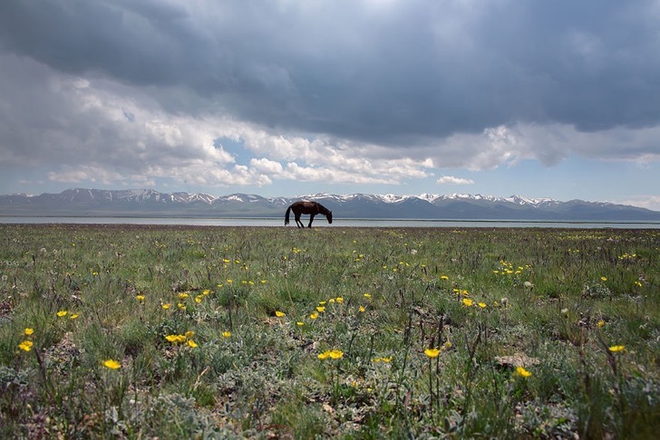22. Song Kol Lake, Quirguisto