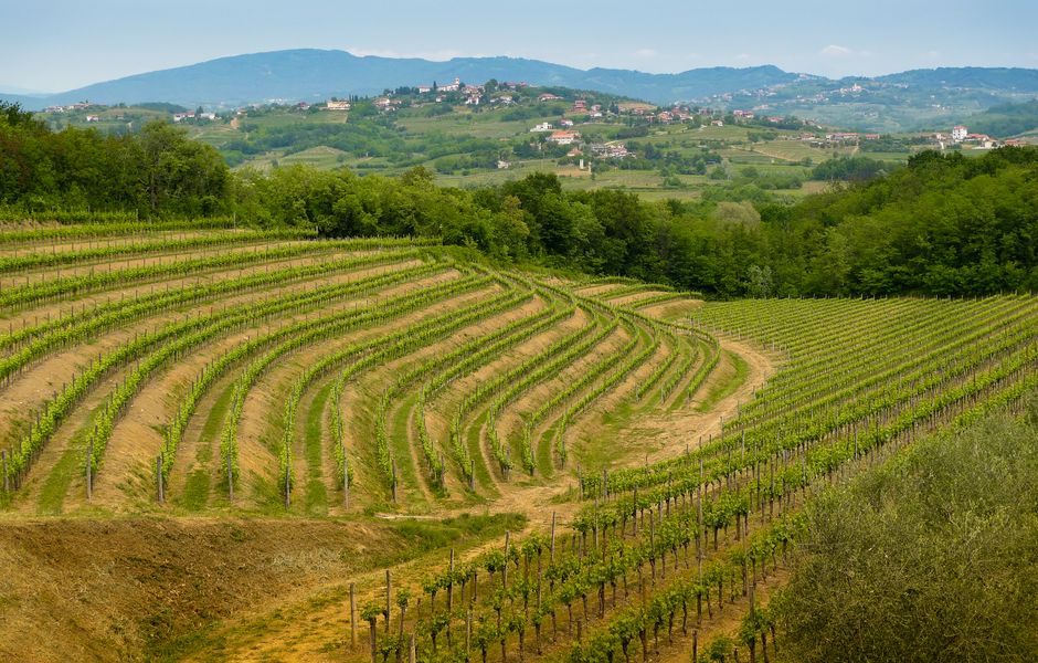 A regio vincola de Friuli, na Itlia