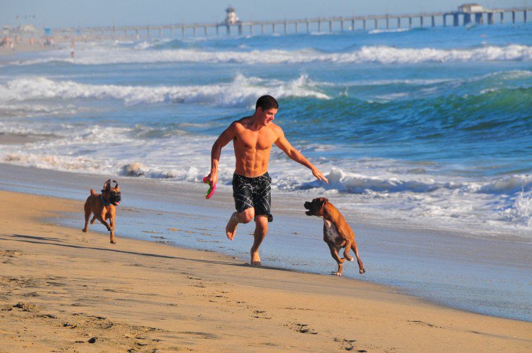Dog Beach, no Condado de Orange, na Califrnia