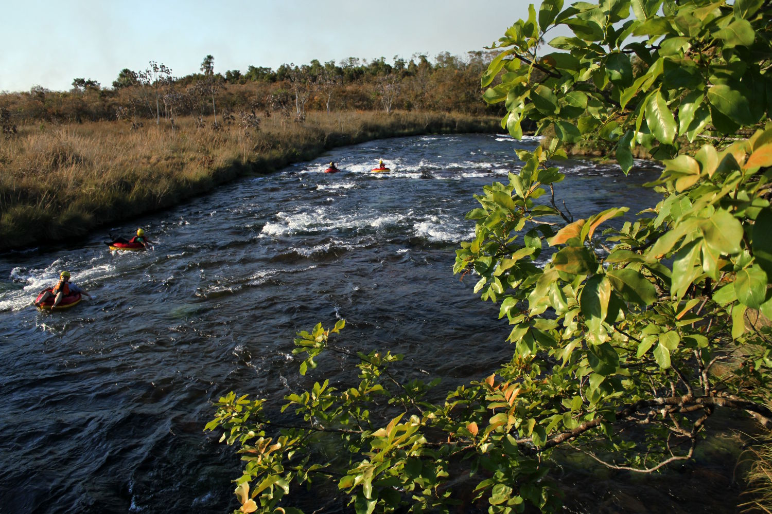 Boia cross no rio Formoso, no Parque Nacional das Emas