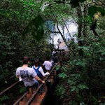 Escada de acesso  Lagoa Misteriosa, no Mato Grosso do Sul