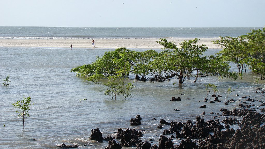 Praia de Algodoal, na ilha de Algodoal (PA)