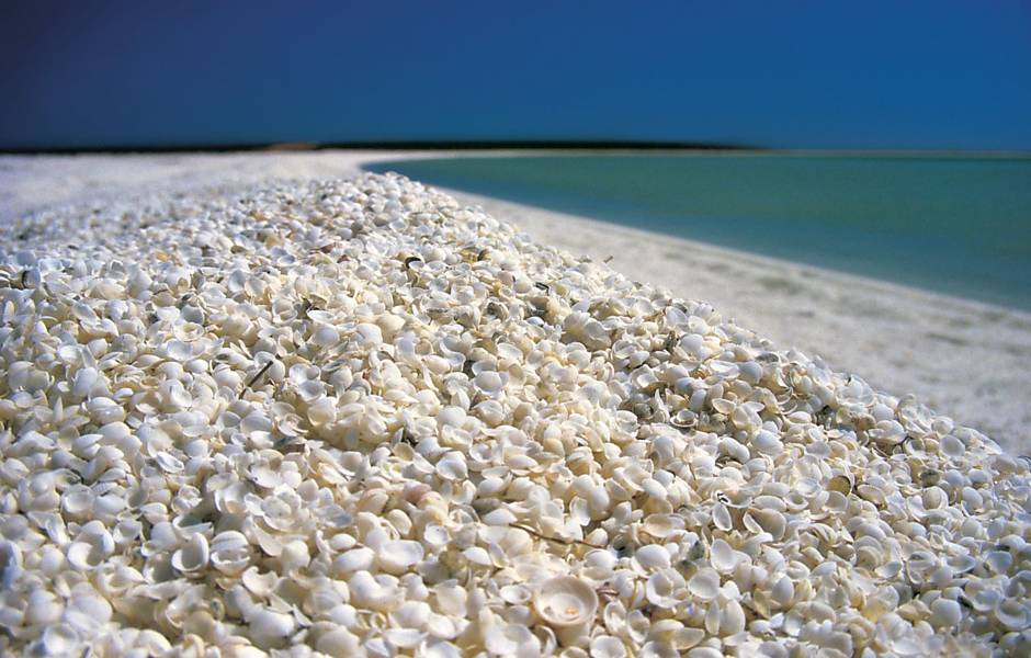 Shell Beach, em Shark Bay, na Austrlia,  coberta por incontveis conchinhas brancas
