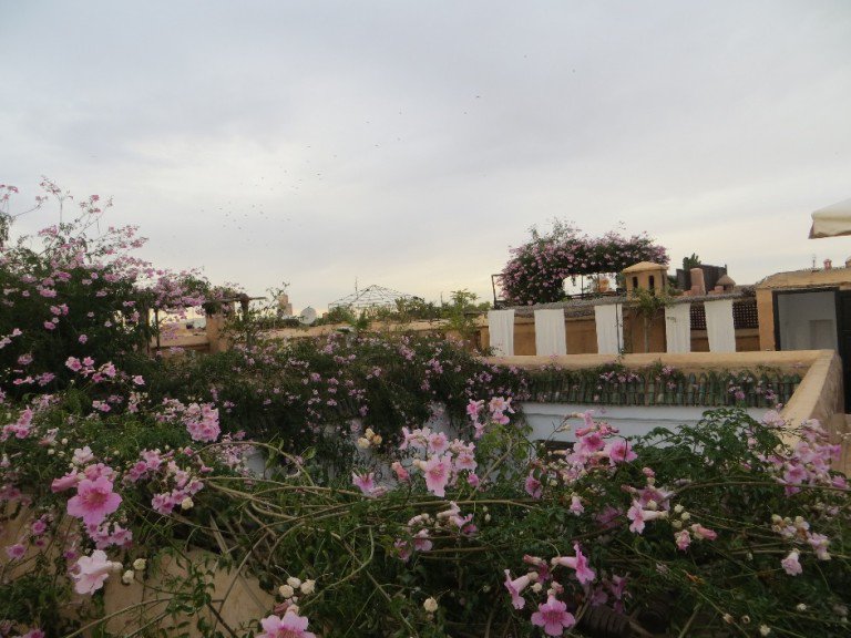 O terrao do museu possui um jardim magnfico, repleto de flores e que propaga uma paz nica. Vale a visita no local