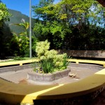 A piscina de Jorge Amado foi restaurada e transformada em um pequeno lago decorativo