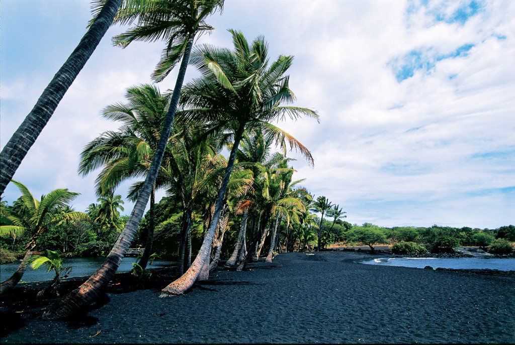Palm trees on the Black Sand Beach, Hawaiian Islands, Hawaii, USA