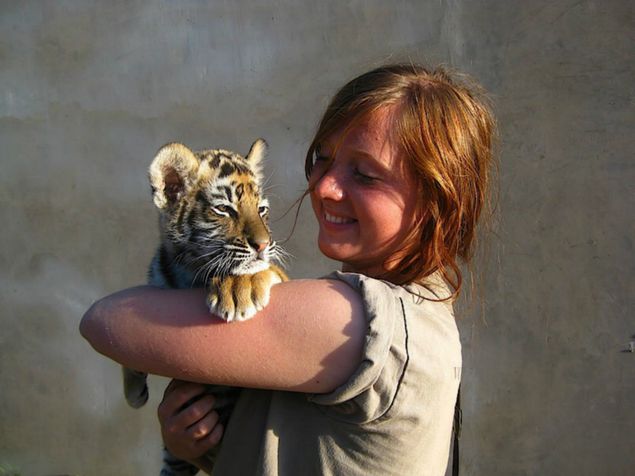 Turista segura tigre de bengala na frica do Sul
