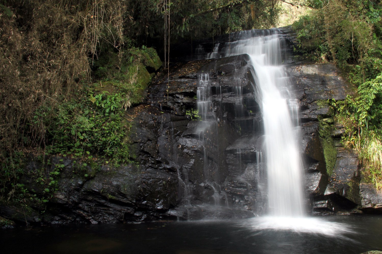 Trilha das Cachoeiras, no Parque Estadual da Serra do Mar, em Cunha