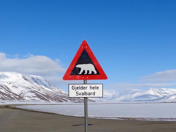 Placa alerta sobre a presença de ursos em Svalbard (Foto: Balazs Koranyi/Reuters)