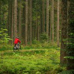 Trilhas para caminhadas e ciclismo so os destaques naturais de Freudenstadt, uma das cidades da Floresta Negra, na Alemanha