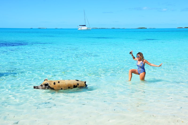 Pig Beach - Exuma - Bahamas