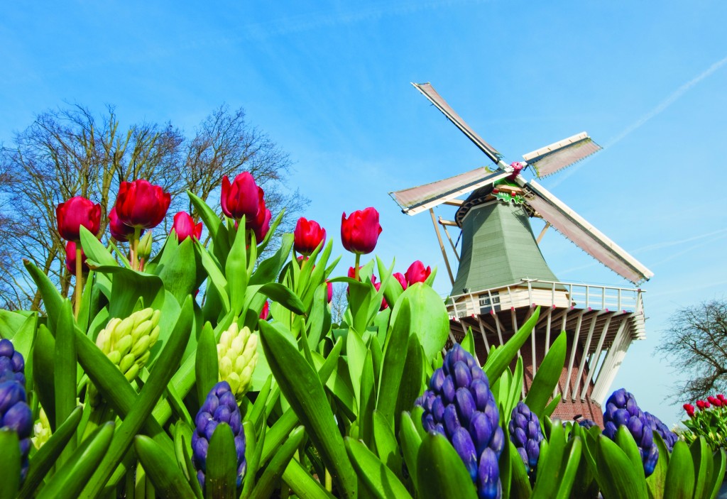 Dutch_Windmill