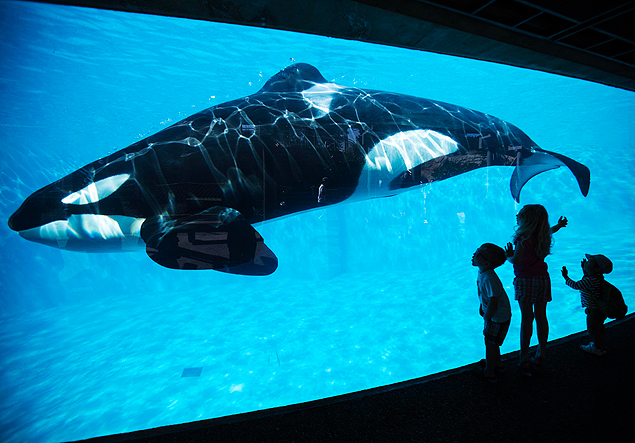 Crianas observam orca no SeaWorld de San Diego, que vai inaugurar nova rea para os animais