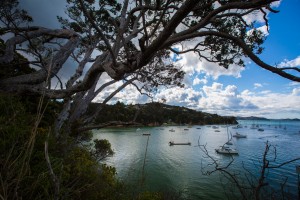 Baa de Opua, lar de centenas de veleiros. A vela  um dos esportes e lazeres favoritos dos neozelandeses