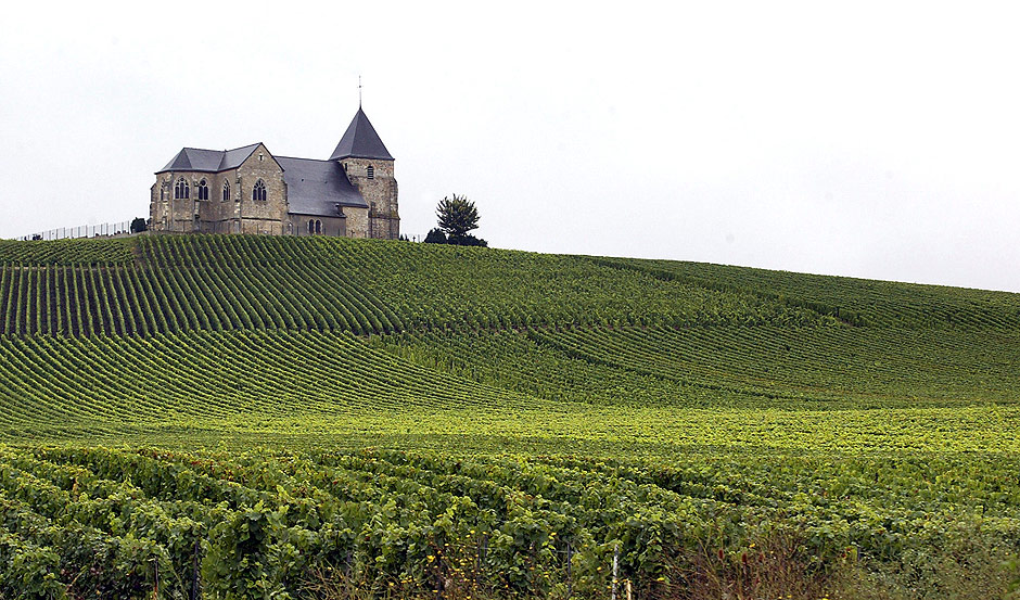 Vinhedos na regio francesa de Champagne
