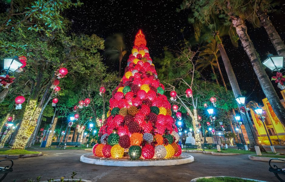 rvore de Natal em Socorro, a cidade  decorada com enfeites feitos de garrafa PET 