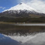 Equador decreta alerta amarelo aps exploses do vulco Cotopaxi