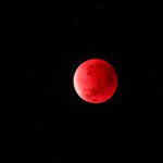 m 28 de setembro de 2015, uma superlua coincidiu com um eclipse lunar, fenmeno registrado nesta fotografia da lua avermelhada em Boras, na Sucia