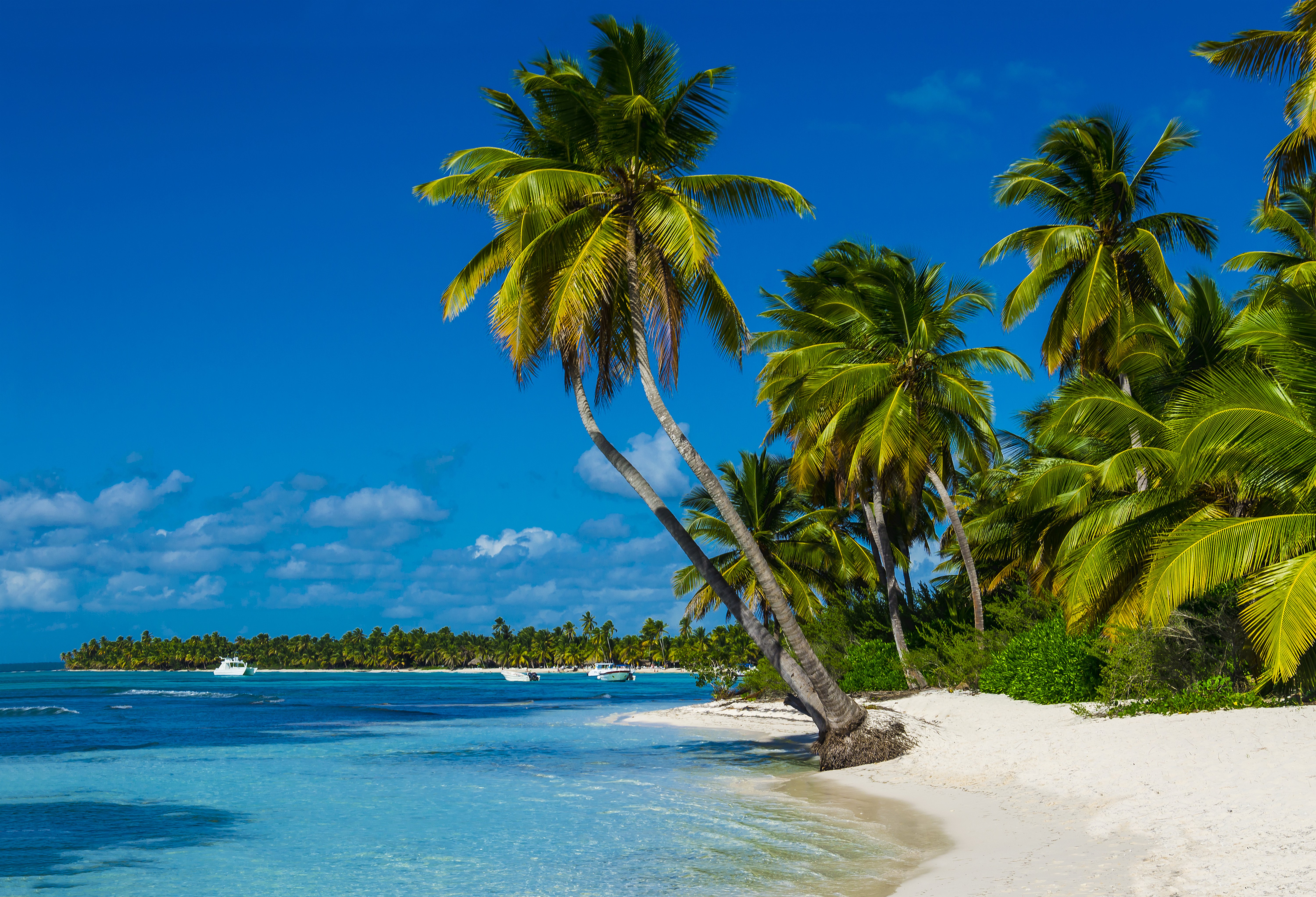 Barbados tem mais de 60 praias, divididas entre o mar caribenho e o oceano Atlntico