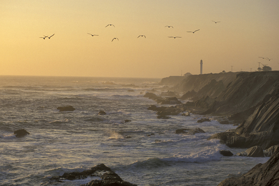 California, Point Arena Lighthouse, North Coast, California, USA