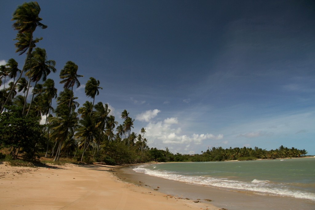 Litoral sul de Maragogi, em Alagoas