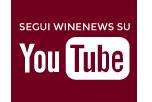 Segui WineNews su YouTube