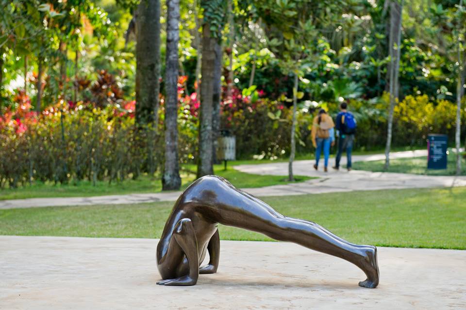 As esculturas do artista Edgard de Souza integram acervo do Instituto Inhotim