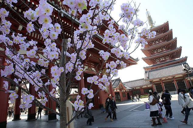 Cerejeira no templo Sensoji, em Tquio 