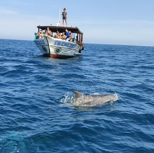 Um espetáculo a parte! Grupo de golfinhos fazem festa nos mares de Arraial do Cabo, RJ