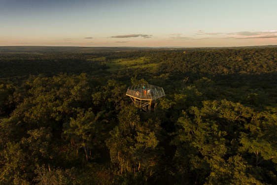 4 torres de observação incríveis ao redor do mundo para ver e ouvir a natureza do alto