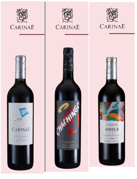 Dia das Mães: Vinhos da bodega argentina CarinaE são excelentes pedidas para a data