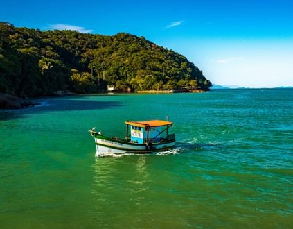 Rota Verde Azul: conheça os atrativos de Ubatuba (SP)