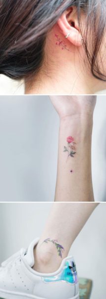 Reproduçã/metdaan.com