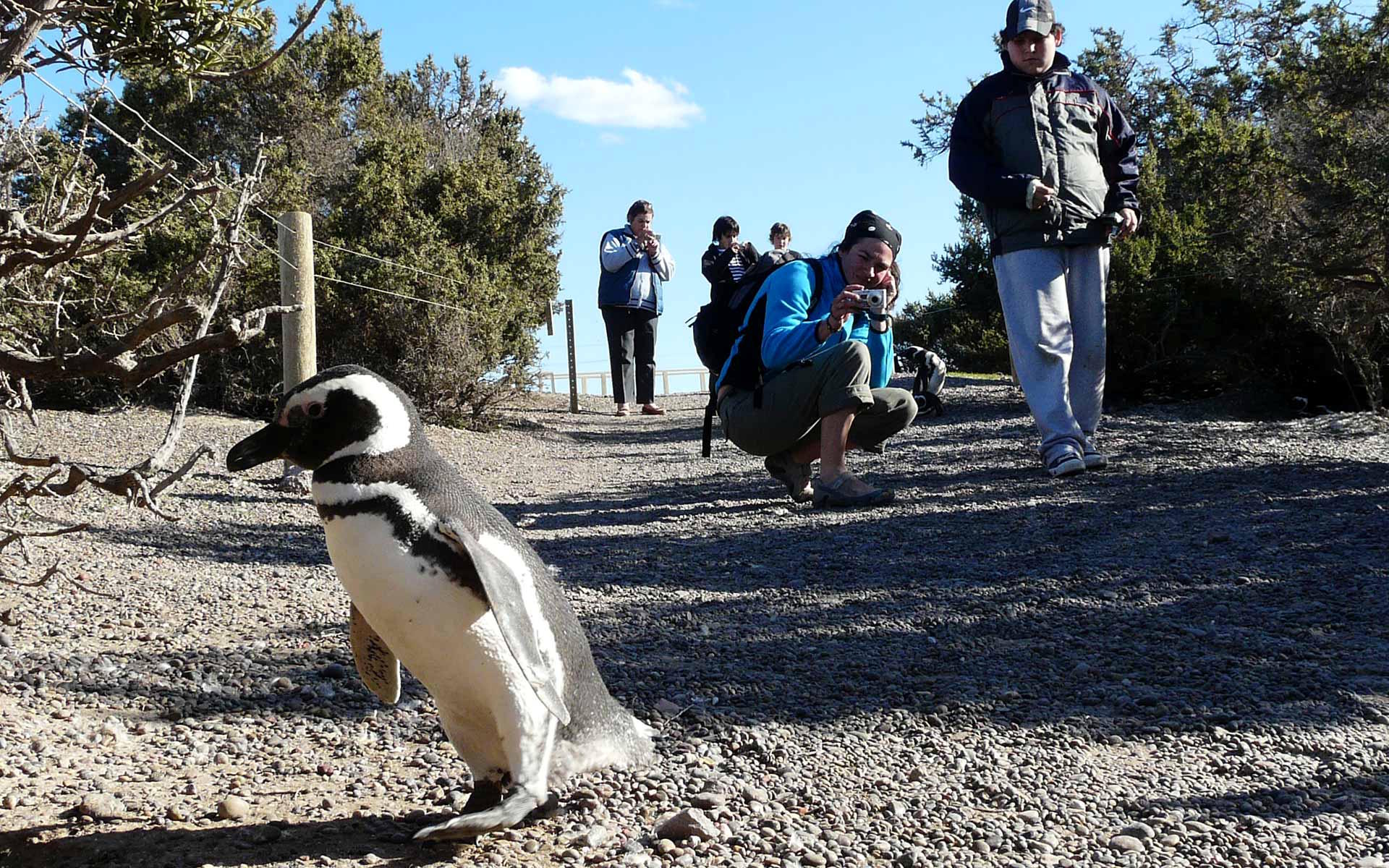 Patagonia_argentina_e_um_dos_destinos_mais_inospitos_da_America_do_Sul-3