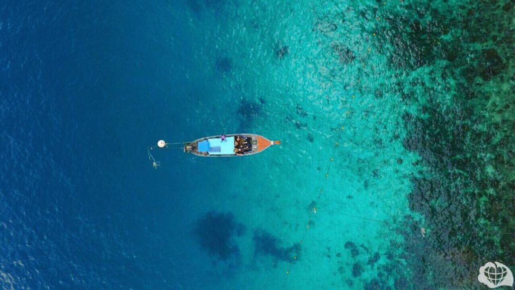 Shark Point