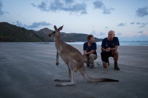 Famlia Schurmann observa os cangurus na praia do Cape Hillsborough, na Austrlia