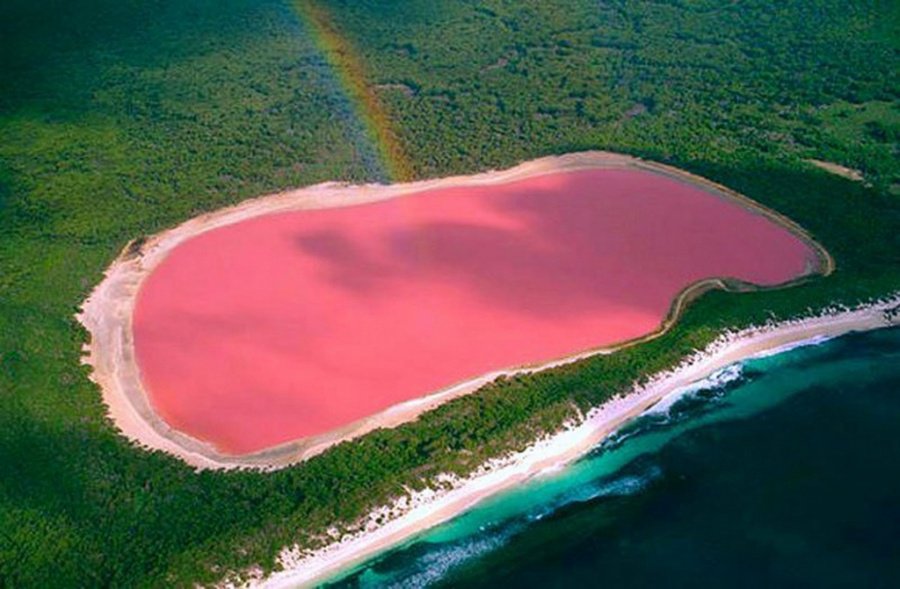 Lago rosa em Hillier, Austrlia