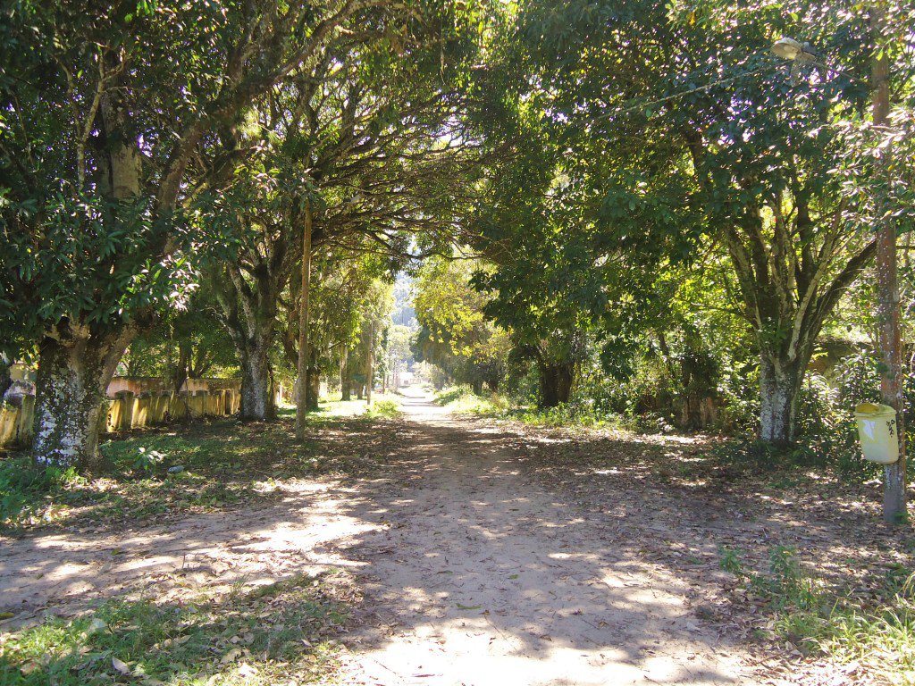 Caminho para a praia de Dois Rios