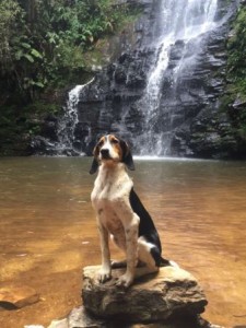 Cachoeira Antares