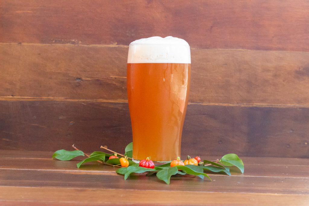Cerveja Luís de Gois