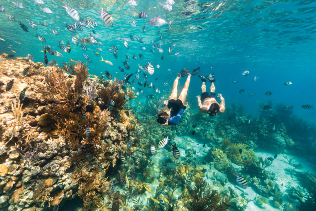 Bahamas: paraíso azul para mergulhadores e amantes da natureza
