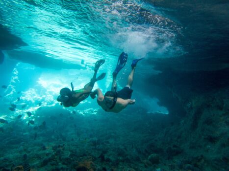 Bahamas: paraíso azul para mergulhadores e amantes da natureza