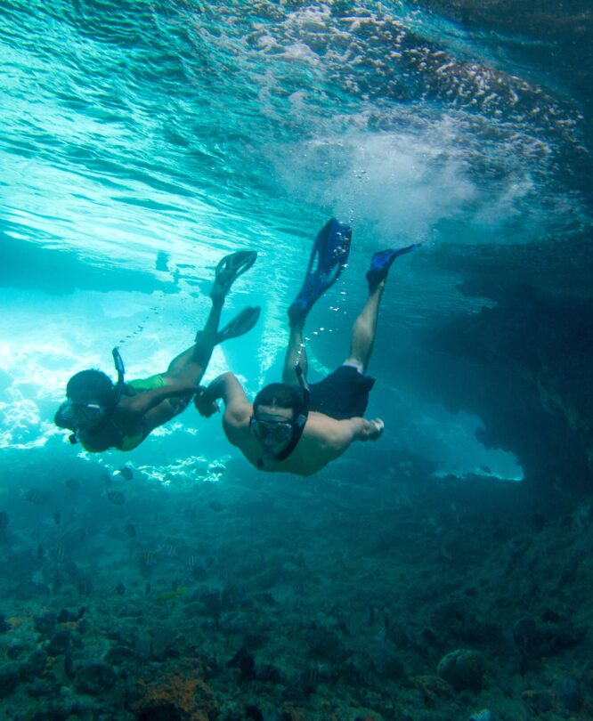 Bahamas: paraíso azul para mergulhadores e amantes da natureza