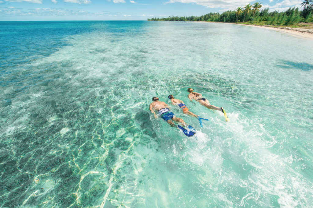 Bahamas: paraíso azul para mergulhadores e amantes da natureza